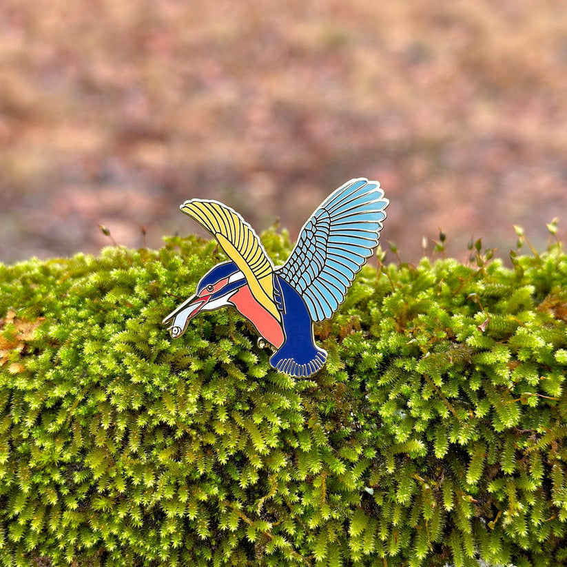 Lapel Pin - Kingfisher in Wooden Gift Box by Montrose Biology (Maker of Ecologies)