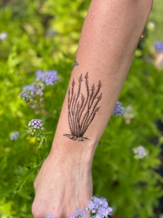 Temporary Tattoo - Ocotillo (1 pack)