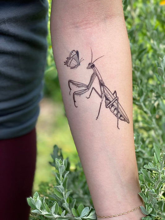 Temporary Tattoo - Praying Mantis (1 pack)