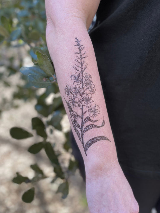 Temporary Tattoo - Fireweed (1 pack)