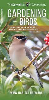 Folding Guide - Gardening for Birds: Enhancing Your Yard to Attract and Support Birds