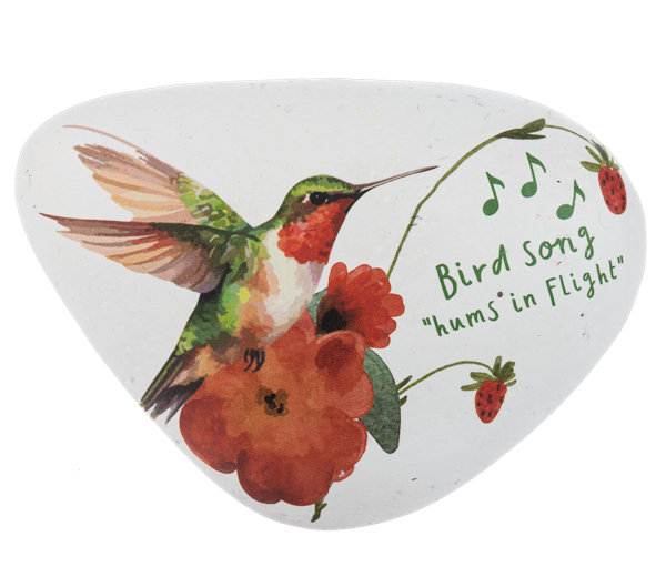 Art Rocks - Songbirds (Choose style)