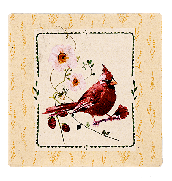 Coasters - Birdsong Ceramic/Cork Coasters (Set of 4)