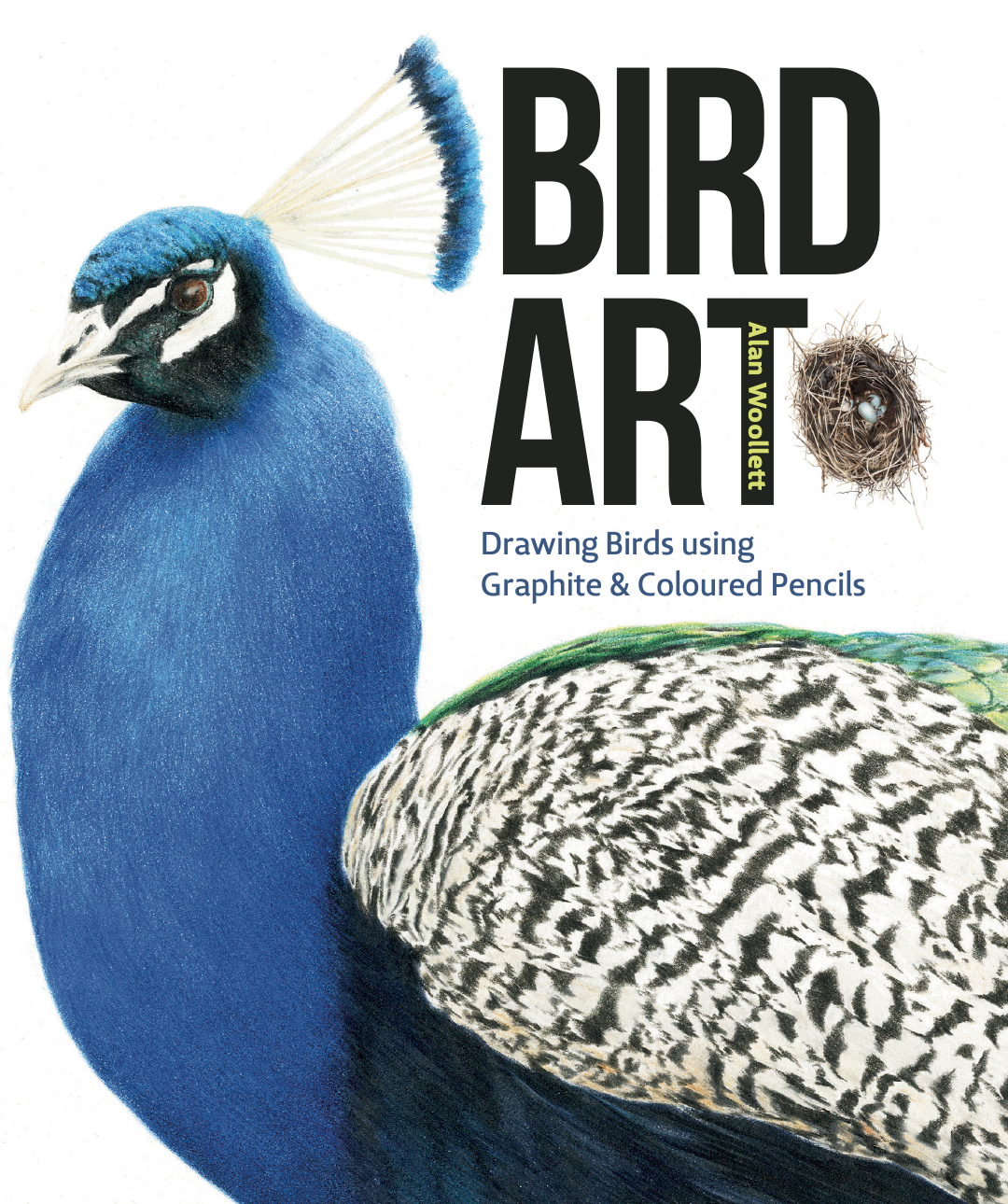 Book - Bird Art: Drawing Birds using Graphite & Coloured Pencils by Alan Woollett (Paperback)