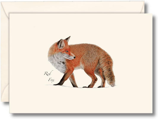 Paper - Boxed Notecards - Red Fox (Earth Sky + Water)