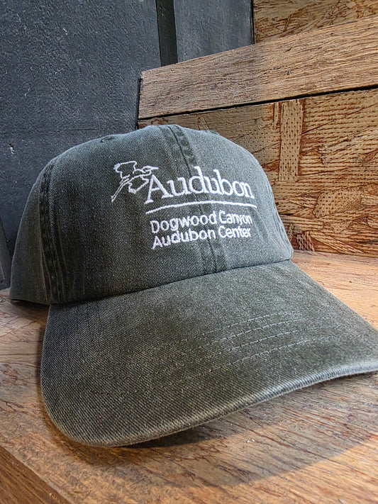 Logo - Hat with Embroidered DCAC Logo (Hunter Green)
