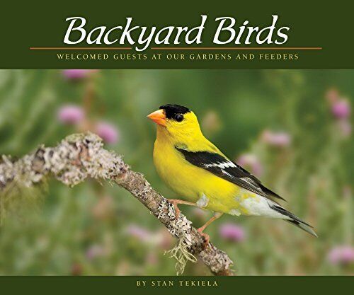 Book - Backyard Birds: Welcomed Guests at Our Gardens and Feeders (Wildlife Appreciation) by Stan Tekiela (Paperback)