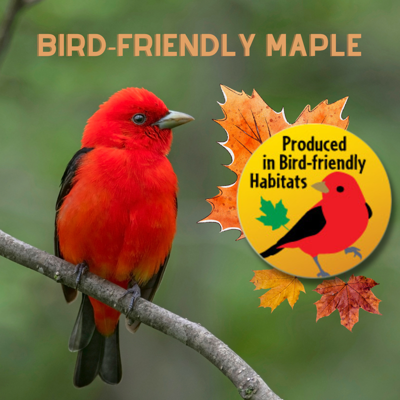 Bird-Friendly Maple Syrup - Dark Pint