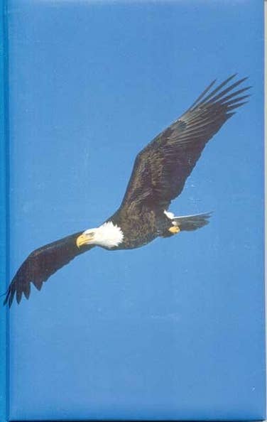 Blank Journal - Eagle Blank Hardcover Unlined Journal