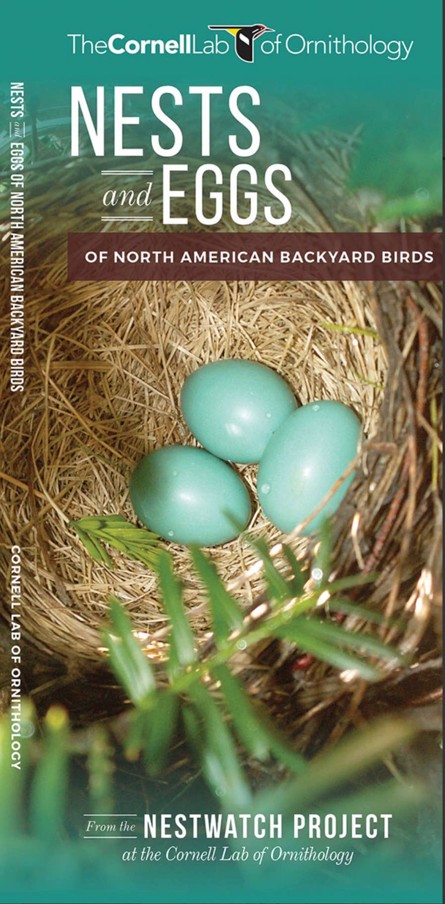 Folding Guide - Nests and Eggs of North American Backyard Birds