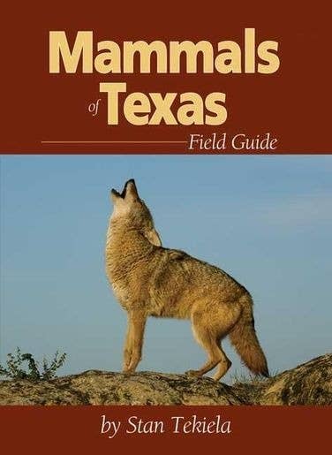 Book - Mammals of Texas Field Guide by Stan Tekiela (Paperback)