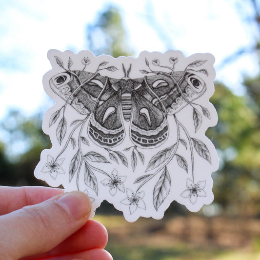 Sticker - Mackenzie Myrick - Cecropia Moth