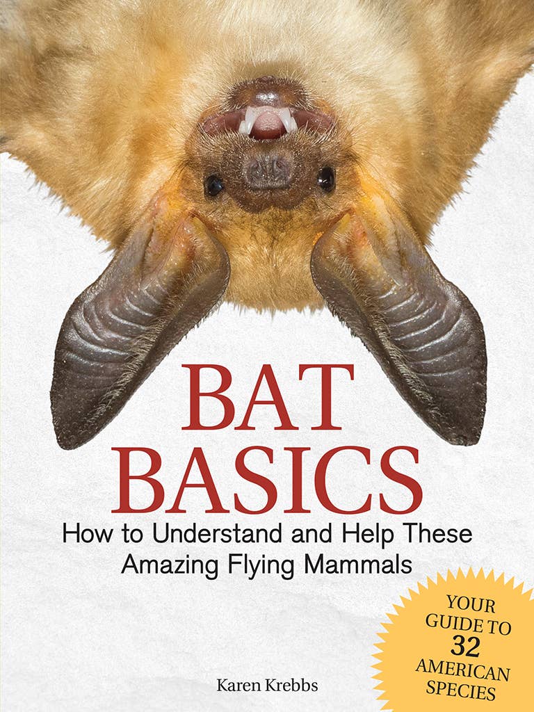 Book - Bat Basics: How to Understand and Help These Amazing Flying Mammals by Karen Krebbs (Paperback)