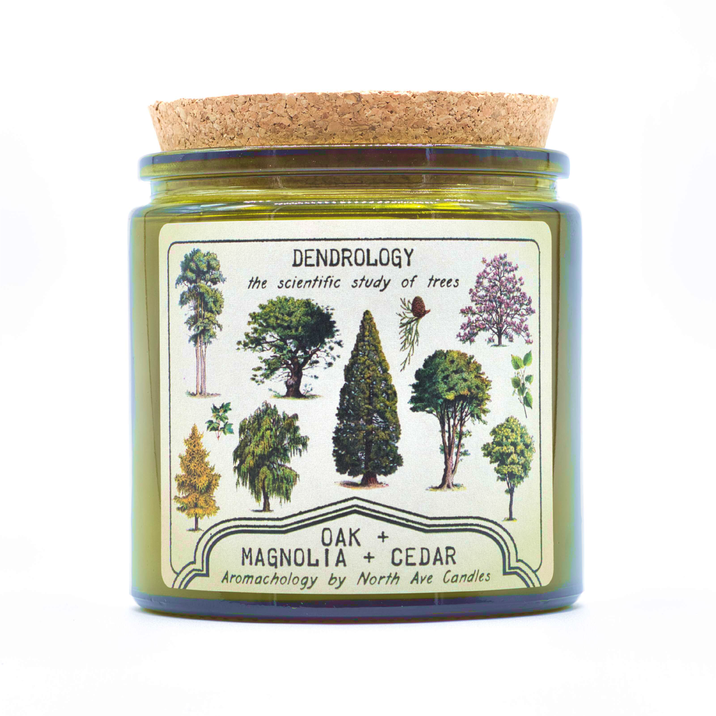 Candle - Aromachology / Trees / Dendrology (Oak, Magnolia, Cedar)