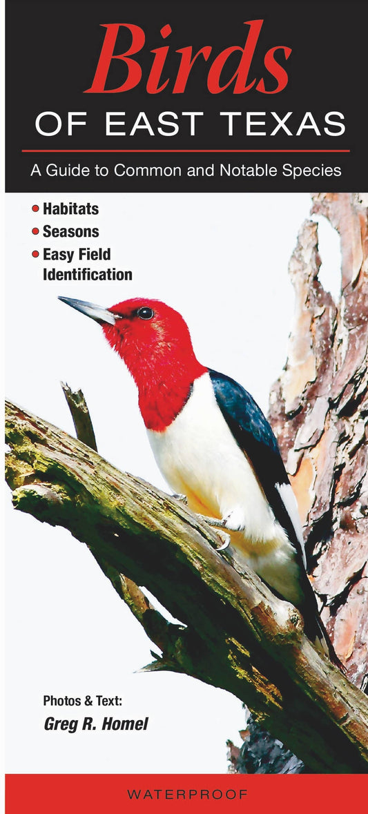 Folding Guide - Birds of East Texas