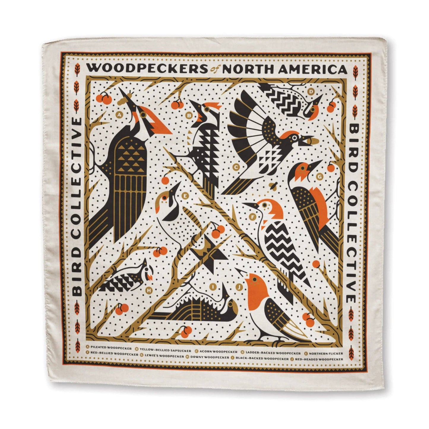 Bandana - Woodpeckers of North America