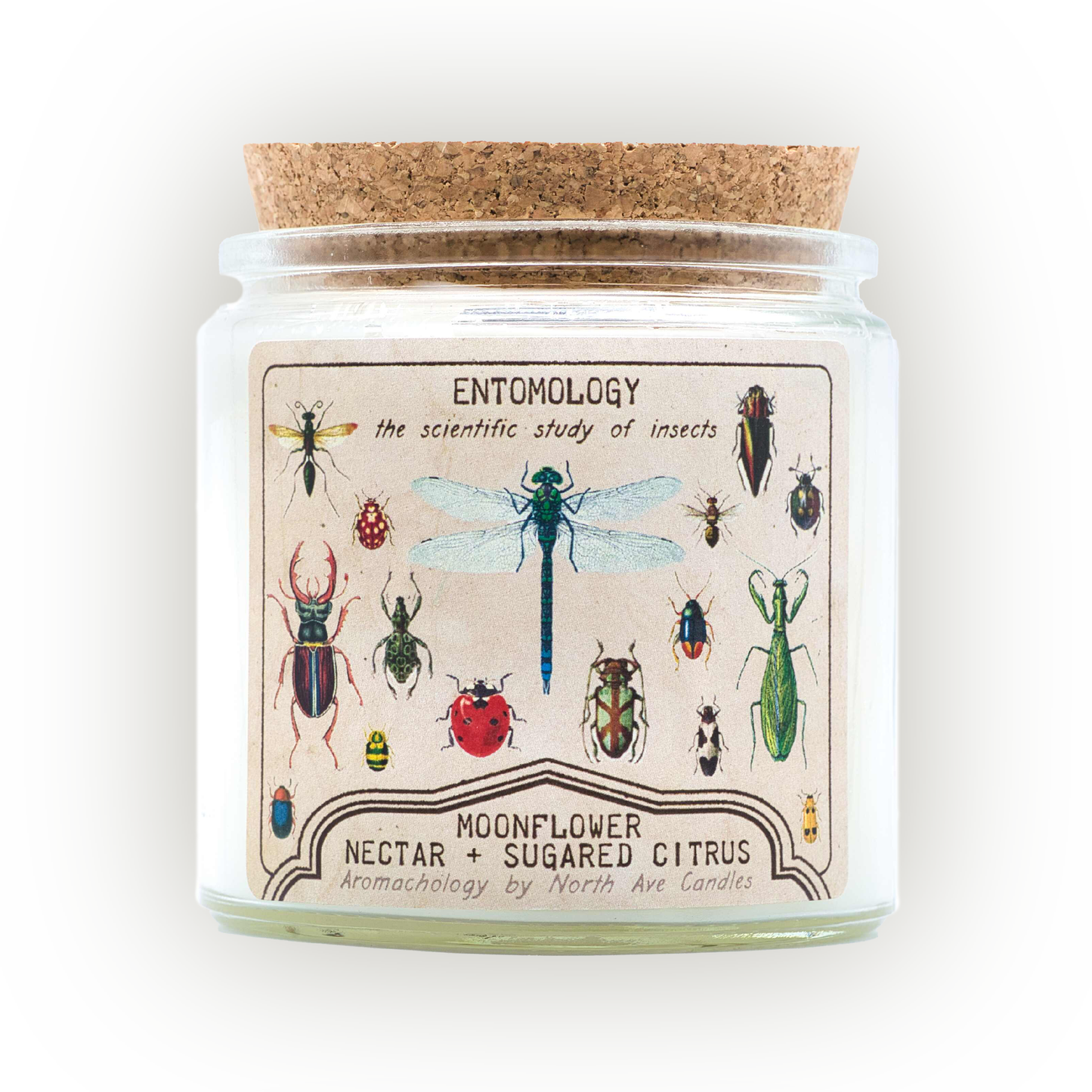 Candle - Aromachology / Bugs / Entomology (Moonflower Nectar and Sugared Citrus)