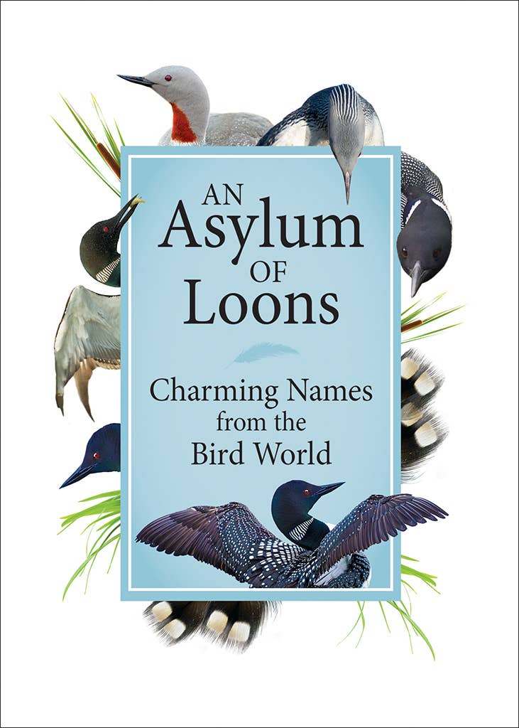 Book - Asylum of Loons: Charming Names from the Bird World (Hardcover)