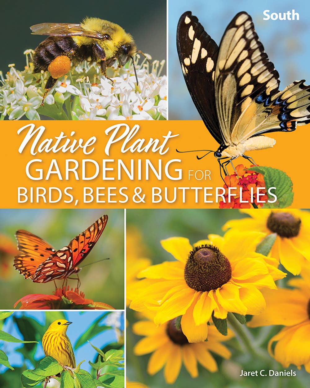 Book - Native Plant Gardening for Birds, Bees & Butterflies: South by Jaret C. Daniels (Paperback)