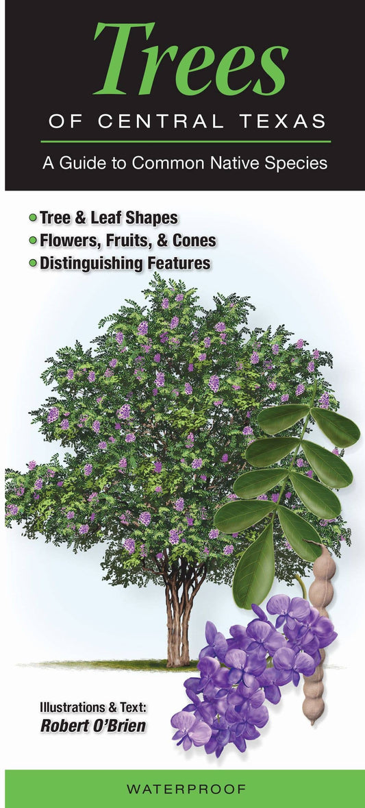 Folding Guide - Trees of Central Texas: A Guide to Common Native Species