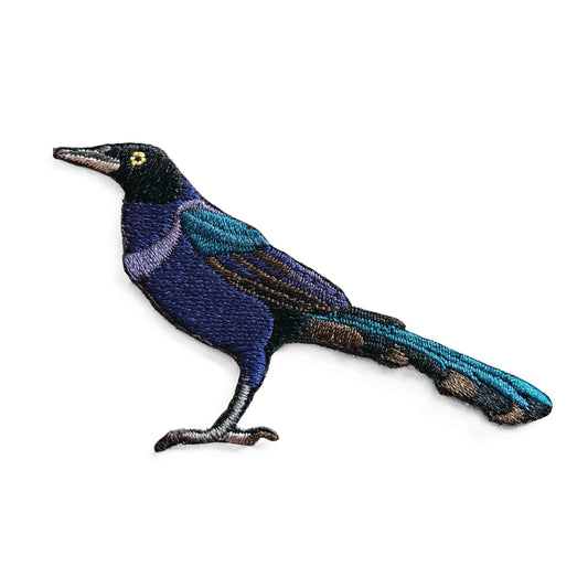 Bird Patch - Boat-tailed Grackle (#27 of collection)