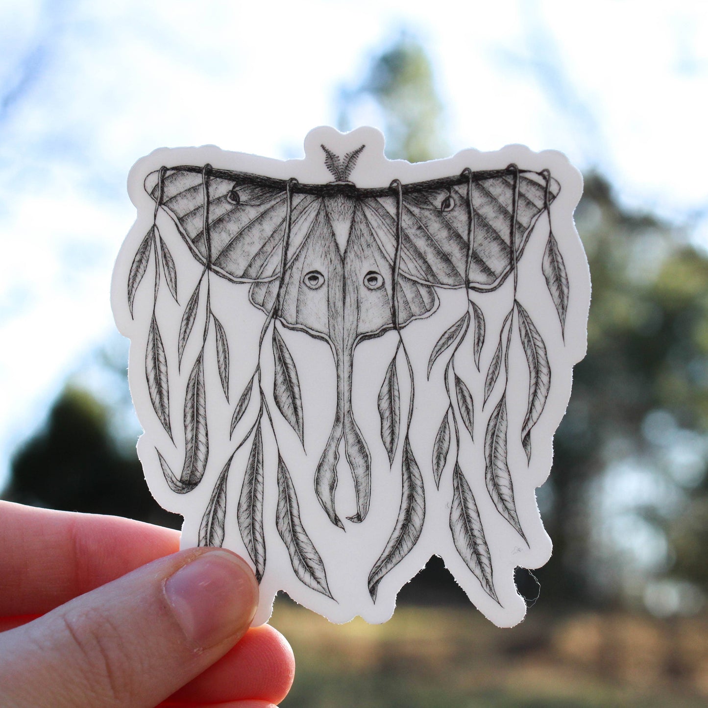 Sticker - Mackenzie Myrick - Luna Moth