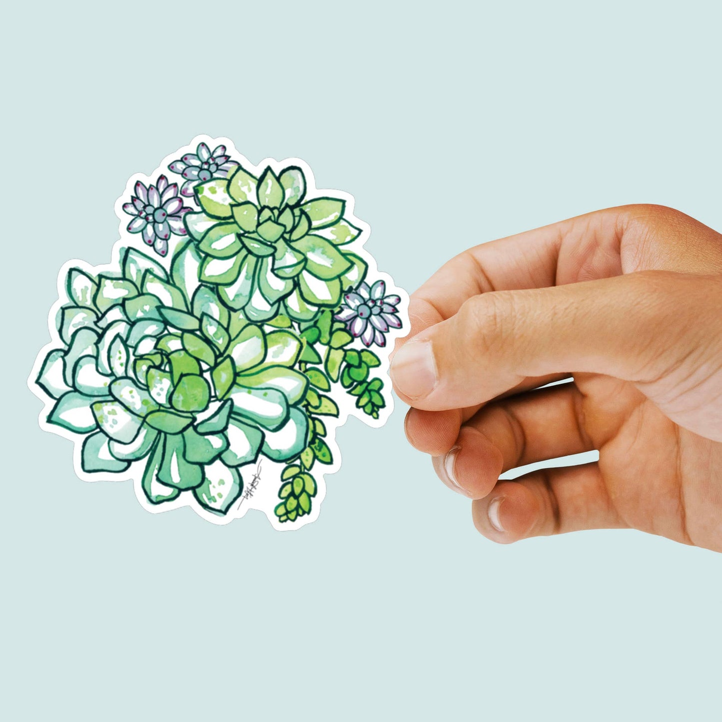 Sticker - Succulent by Amanda Klein