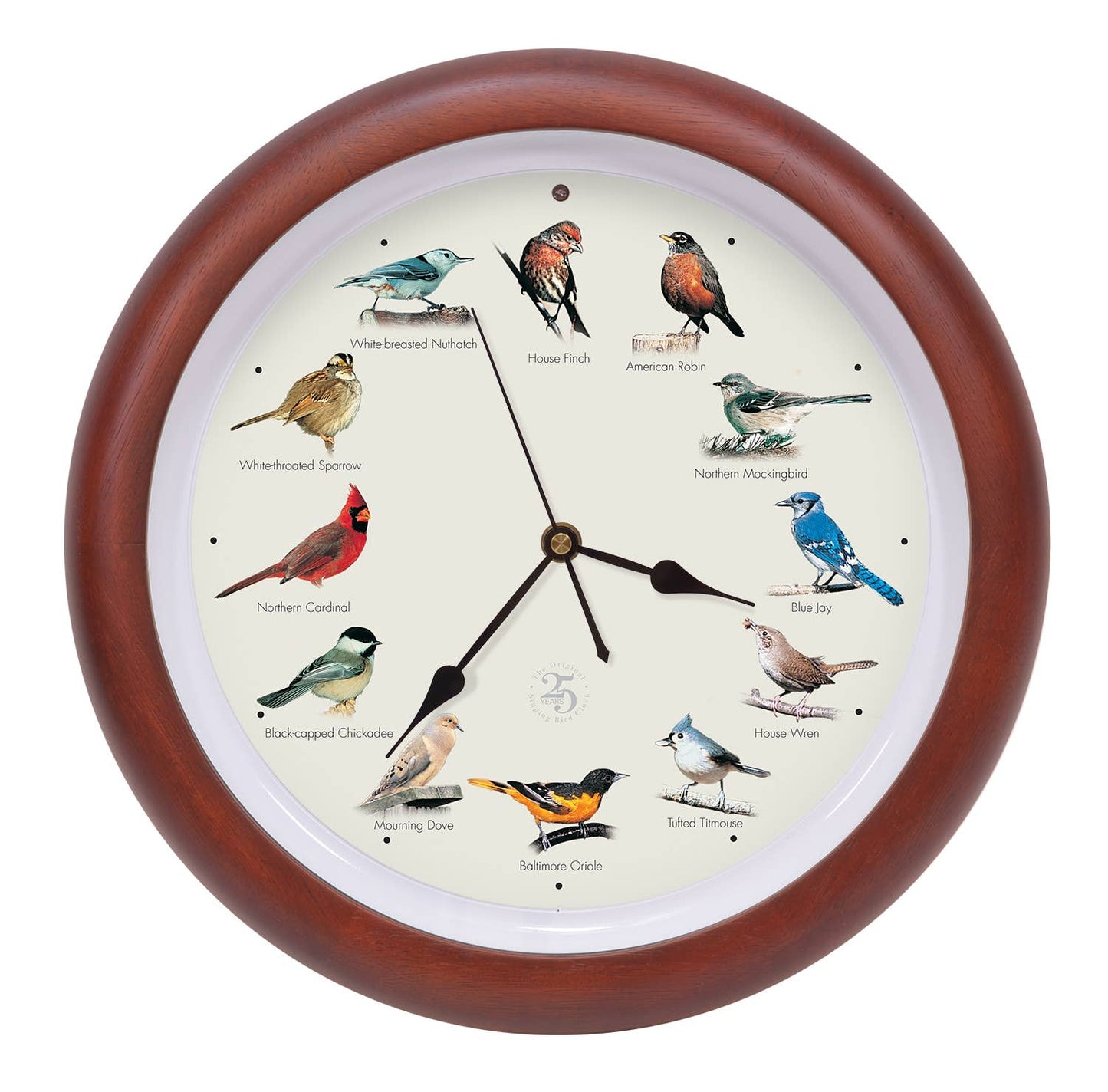 Decor - Singing Bird Clock - 25th Anniversary - 13" - Wood - Cherry