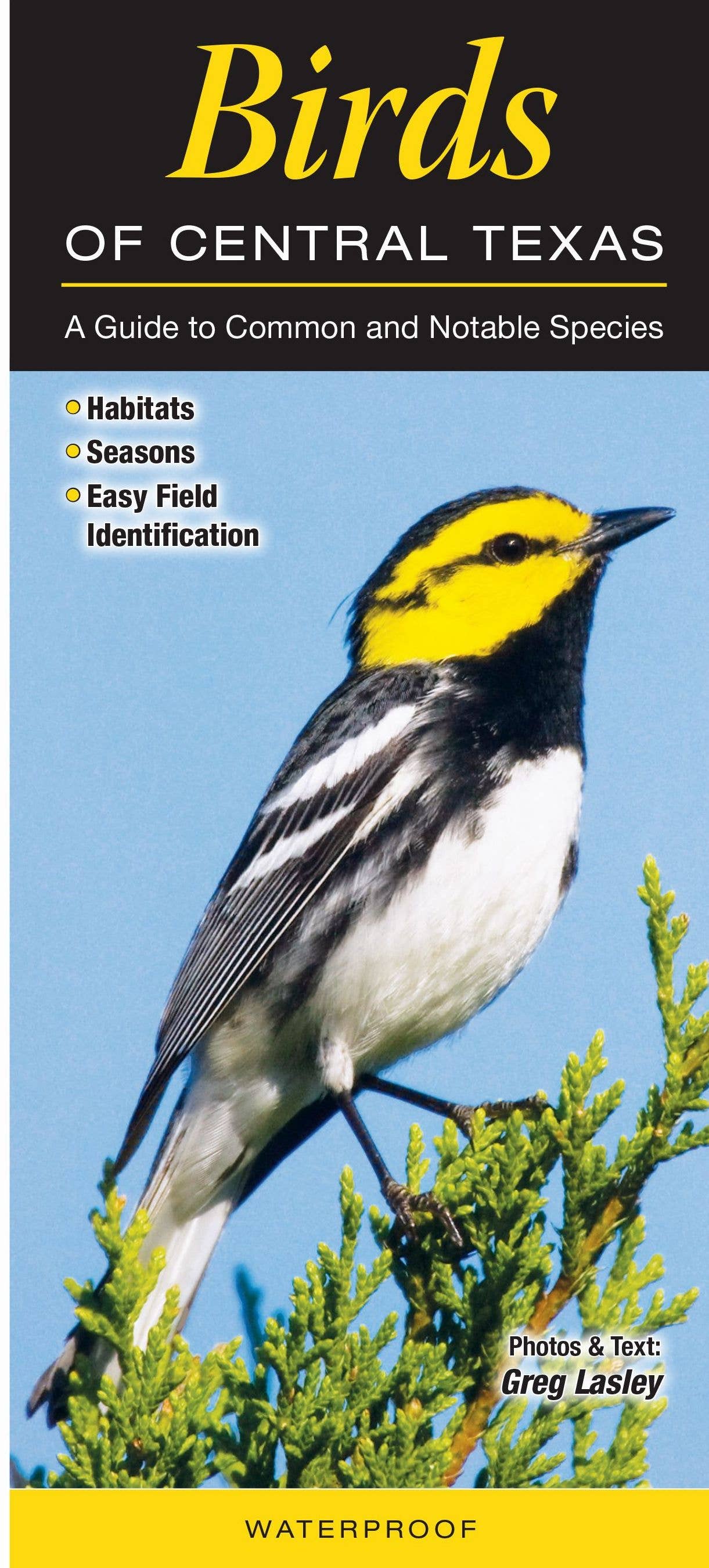 Folding Guide - Birds of Central Texas: A Guide to Common & Notable Species